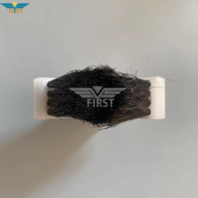 ماشین میخ‌کوبی سوارکاری، برس شاه‌ماهی میخ‌کوبی، برس شاه‌ماهی موی خوک، جهانی